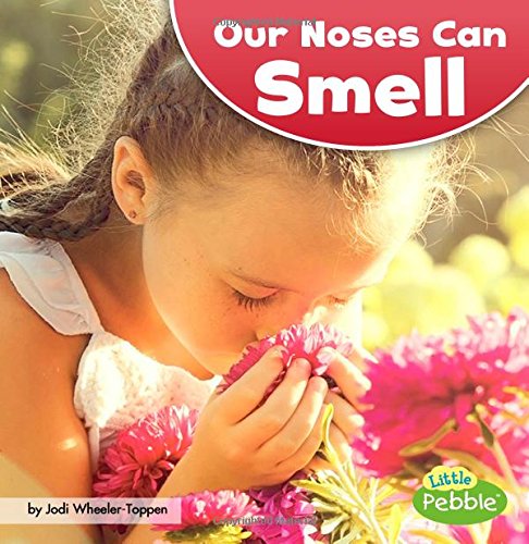 Favorite Five Senses Books for Preschool and Kindergarten – Fun Early ...